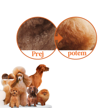 Briketi za rjavo & rdečo dlako – Losos (vse pasme, odrasli psi)