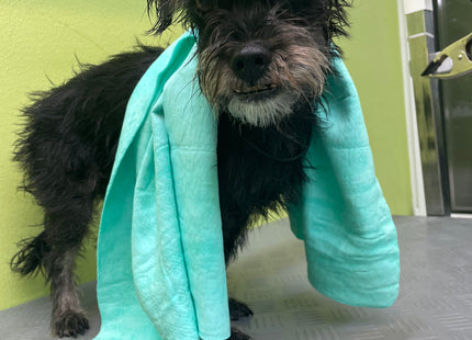 Magična brisača za živali