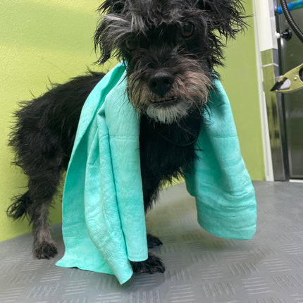 Magična brisača za živali