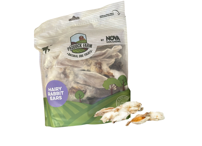 Kosmata kunčja ušesa – naravni priboljšek za pse