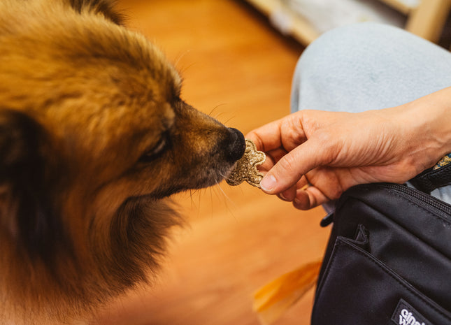 Zimski ribji piškoti