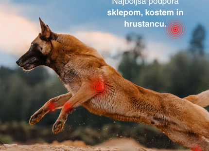 MobiMix Petsome, kapsule za podporo sklepom za pse in mačke (90 kapsul)