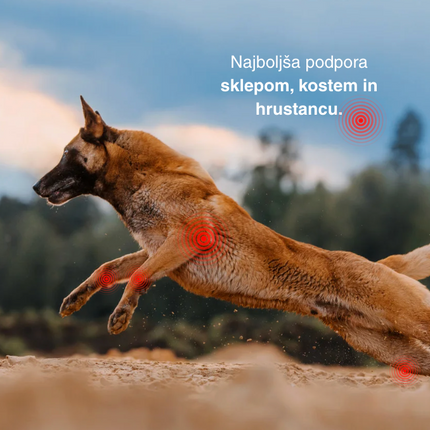 MobiMix Petsome, kapsule za podporo sklepom za pse in mačke (90 kapsul)