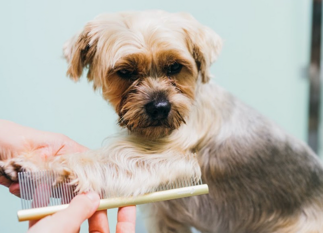 Glavnik Aluminij Inox antistatičen