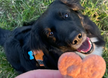 Valentinčki 💞