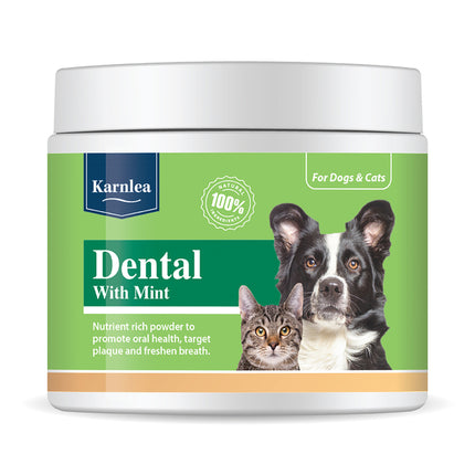 Karnlea Dental with Mint  Dopolnilo za zdrave zobe in dlesni