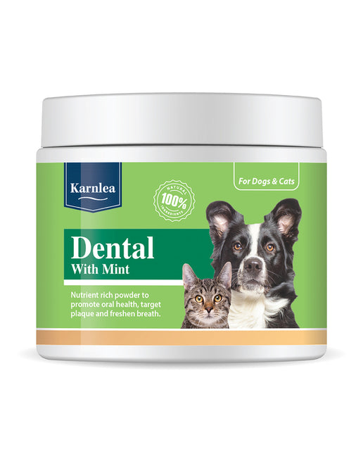 Karnlea Dental with Mint  Dopolnilo za zdrave zobe in dlesni