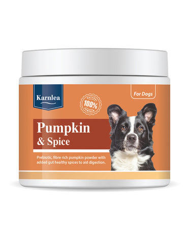 Karnlea Pumpkin & Spice Powder