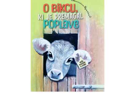 O bikcu, ki je premagal poplave (otroška knjiga)