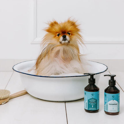Negovalni balzam z nano koloidnim srebrom z dodanim Jojoba oljem, Aloe vero, ter vitaminoma E in B5