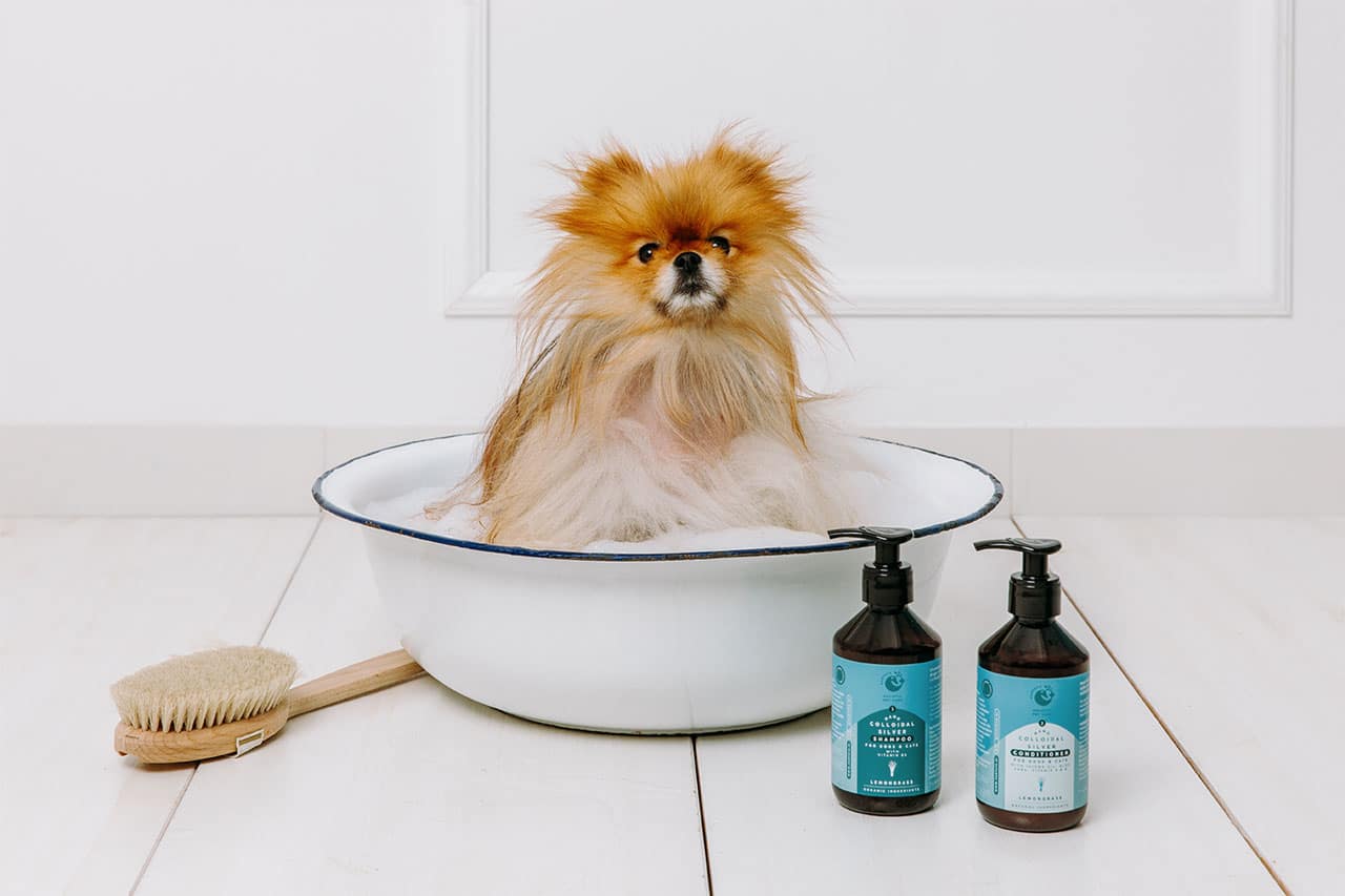 Negovalni balzam z nano koloidnim srebrom z dodanim Jojoba oljem, Aloe vero, ter vitaminoma E in B5