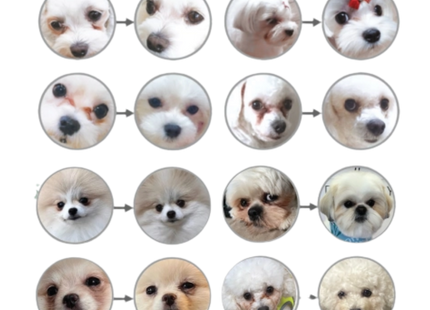 Briketi za bele pse – Bela riba (mini & male pasme, odrasli psi)