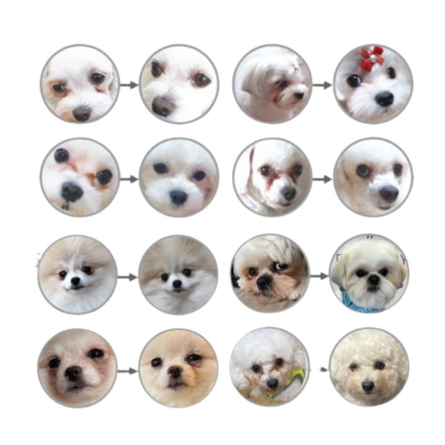 NATURE'S PROTECTION Superior Care White Dog - losos