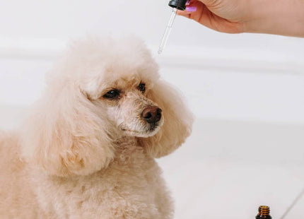 Kapljice za oči in ušesa z nano koloidnim srebrom