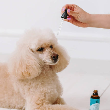 Kapljice za oči in ušesa z nano koloidnim srebrom