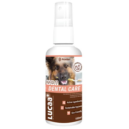 Provilan® Vet. nega zob