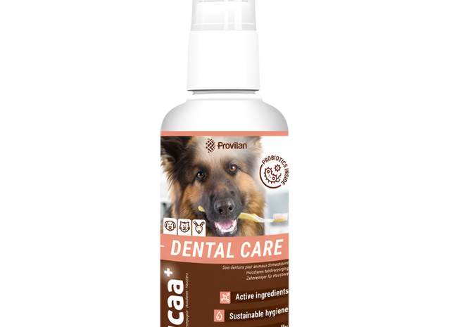 Provilan® Vet. nega zob