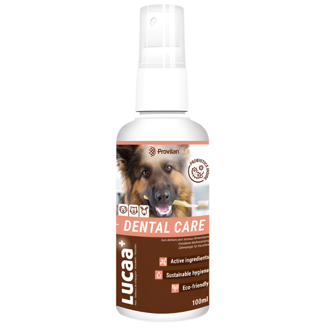 Provilan® Vet. nega zob