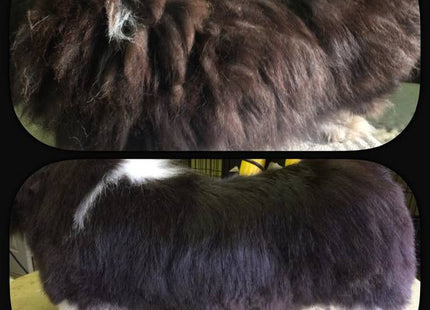 Šampon Green Caviar