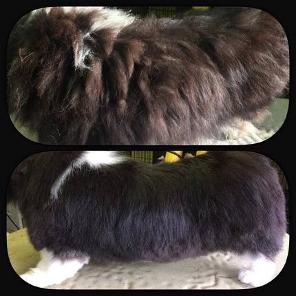 Šampon Green Caviar