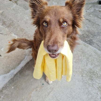 Magična brisača za živali