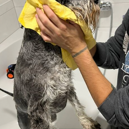 Magična brisača za živali