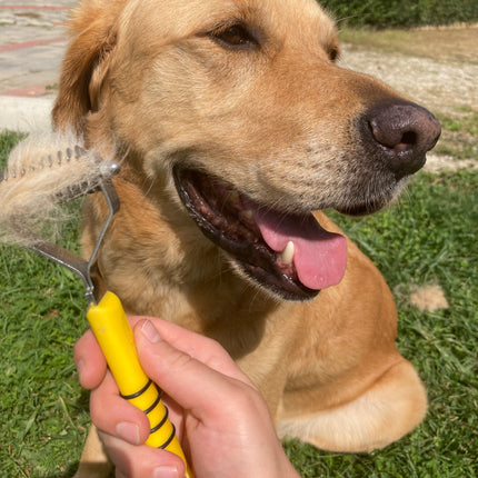 Coat king (odstranjevanje odmrle podlanke)