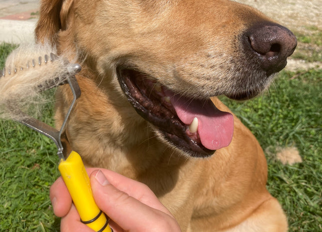 Coat king (odstranjevanje odmrle podlanke)