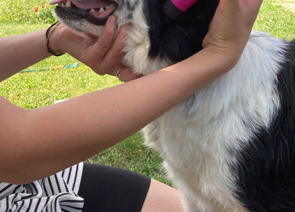 Clean ear (tekočina za čiščenje ušes)