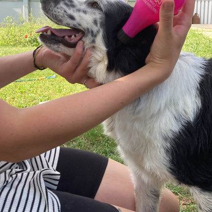 Clean ear (tekočina za čiščenje ušes)