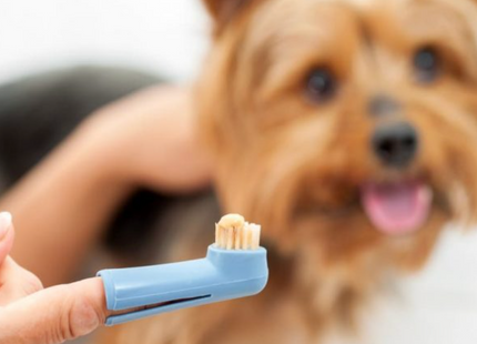 Naprstna ščetka za nego zob