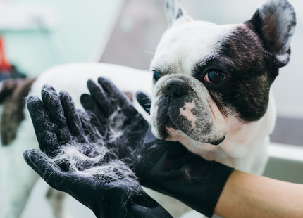 Silikonske rokavice za odstranjevanje odmrle dlake
