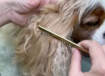 Glavnik Aluminij Inox antistatičen