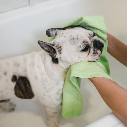 Magična brisača za živali